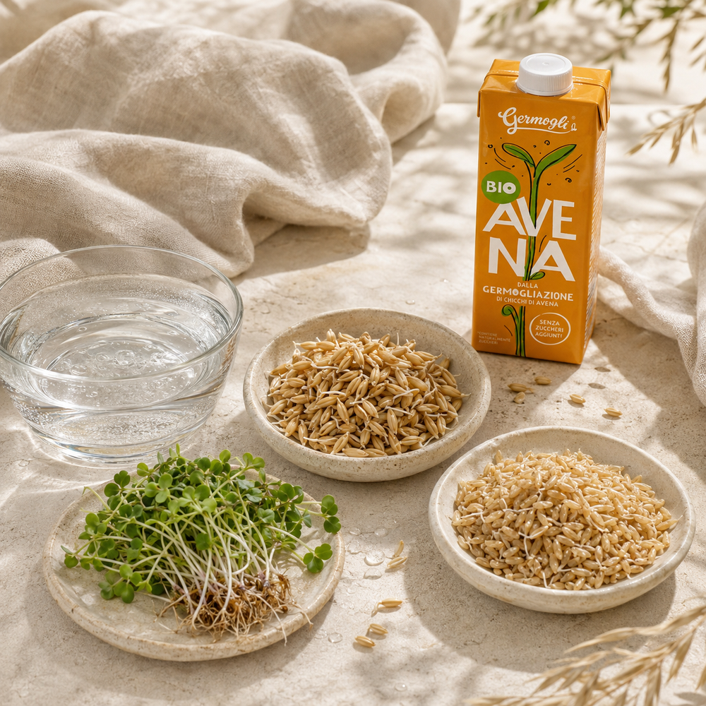 O-RISE Bevanda Bio Avena