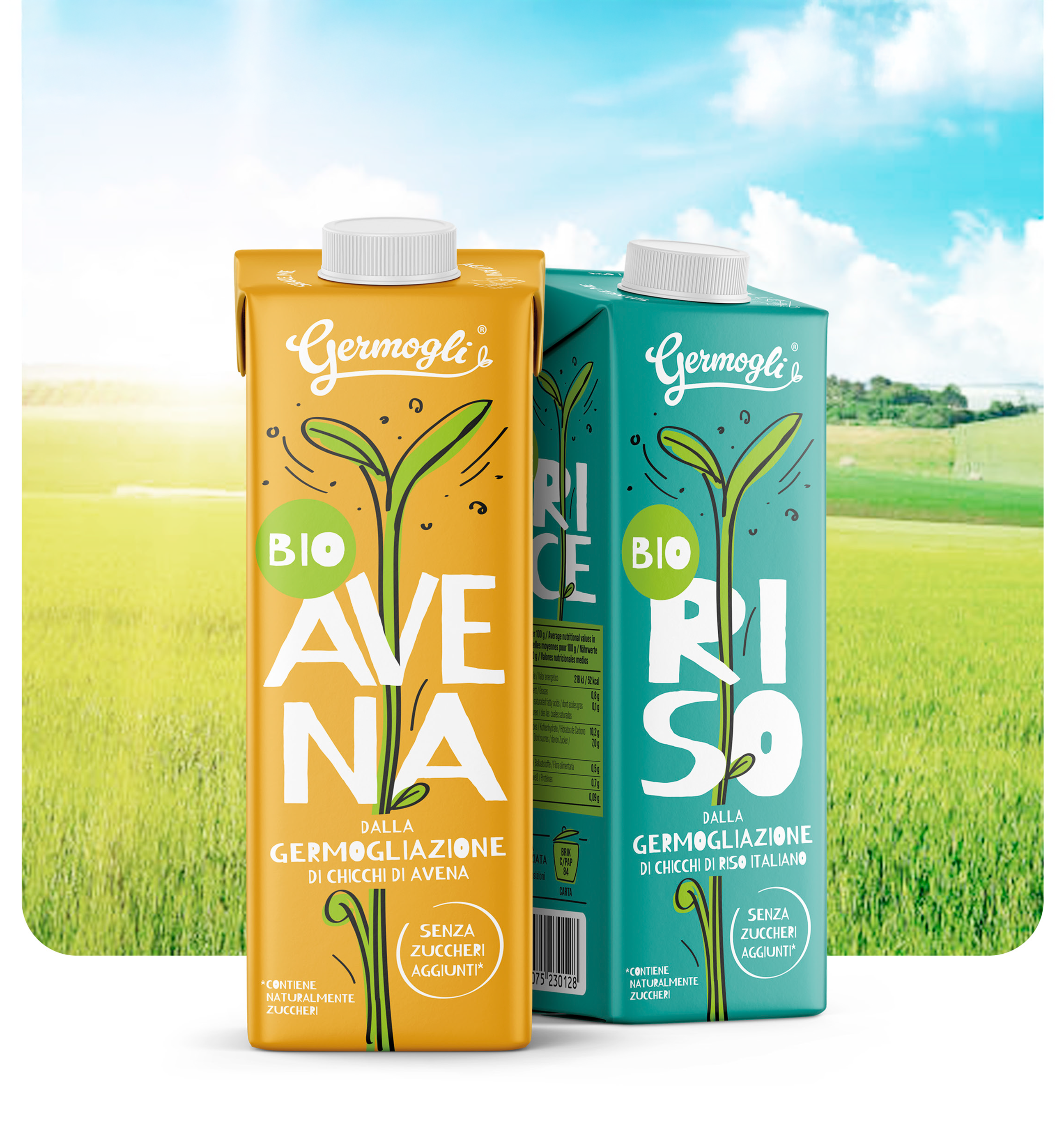 Germogli di chicchi di riso con avena e fieno greco