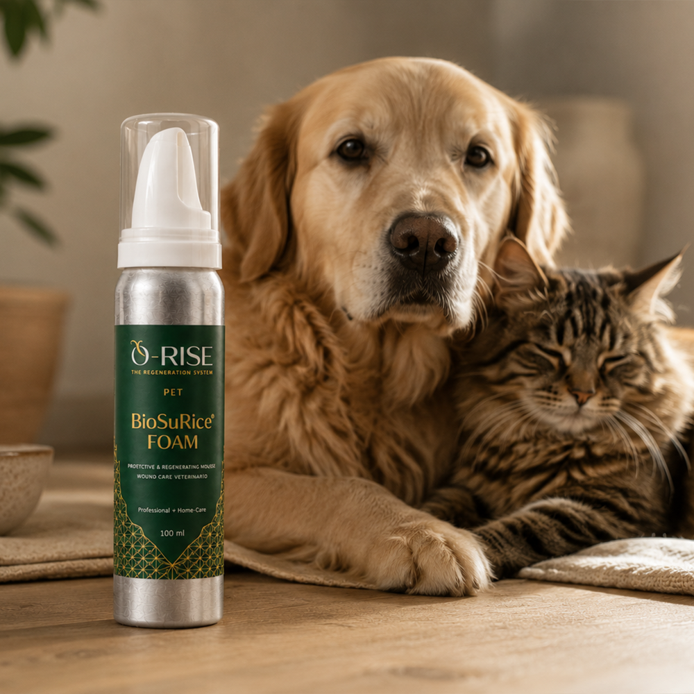 O-RISE Mousse Care