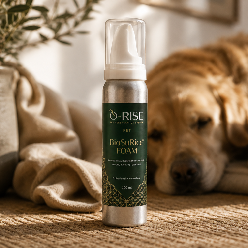 O-RISE Mousse Care